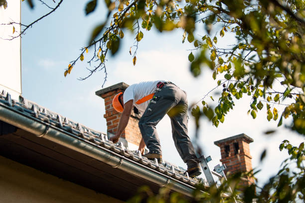 Best Roof Gutter Cleaning  in Shadeland, IN